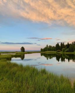 Rustic Moose-Private Pond - 8