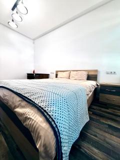 Luxury Apartment in the Heart of Chisinau - 4