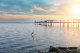 Waterfront Master Suite with Views of Barrier Island - 8