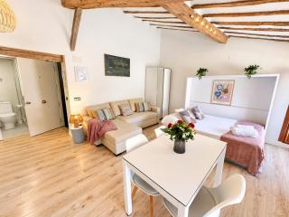 APARTAMENTO LOFT LAUREL coqueto con Aire acondicionado by Apartamentos Logrono org - 4