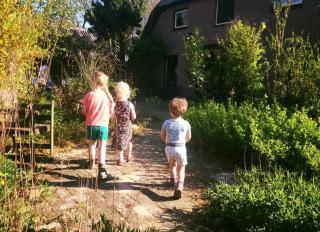 Landhuis Wittelte aan het Holtingerveld - 6