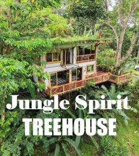 Jungle Spirit Treehouse - 0