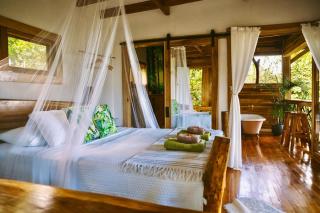 Jungle Spirit Treehouse - 9