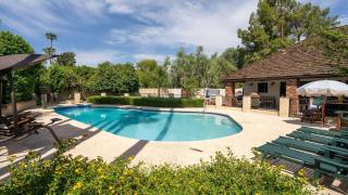 Olive Wood House Large Yard Pool & Hot Tub - 0