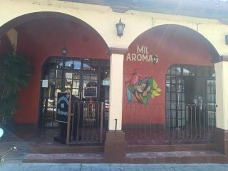 Casa Jardín de San Andrés Centro - 4