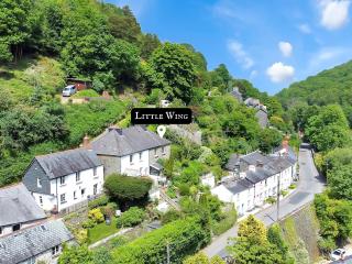 Little Wing Nr Lynton - 9