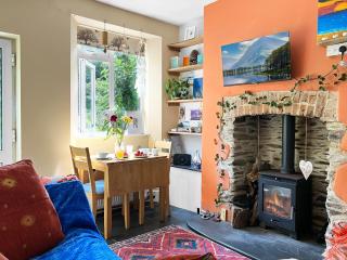 Little Wing Nr Lynton - 2