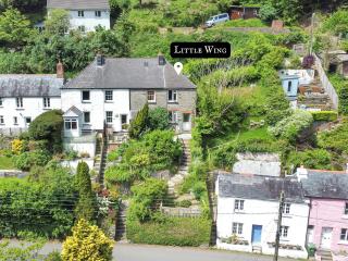 Little Wing Nr Lynton - 5