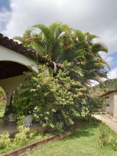 Chácara Bela Vista - 6