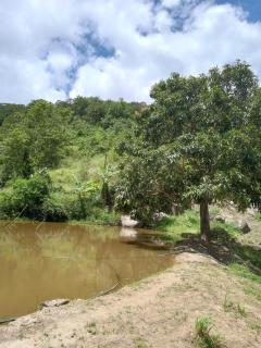 Chácara Bela Vista - 5