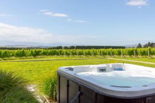 89 In The Vines, Martinborough - 4