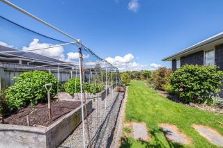 Michaelia House, Greytown - 4