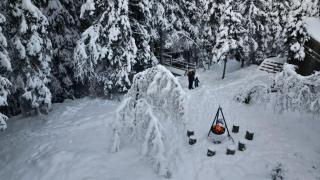 Tretopphytte I Eventyrlige Telemark - Lårdal - 8