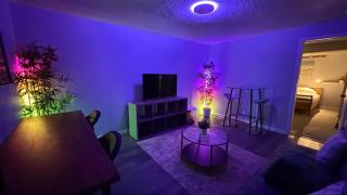 Pet Friendly Basement Suite - 9