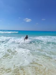 C c 11مبني - 7