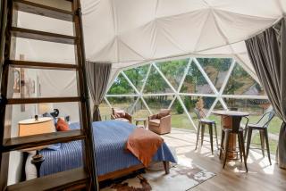 The Fur Seasons | Dog-Friendly Dome w/ Hot Tub - 5