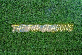 The Fur Seasons | Dog-Friendly Dome w/ Hot Tub - 6