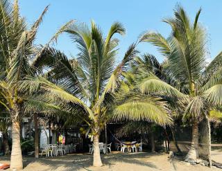 Cabaña Palmera - 7