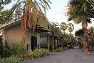 Lopburi Palm Resort - 1