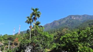 Aloka View Belihuloya - 8