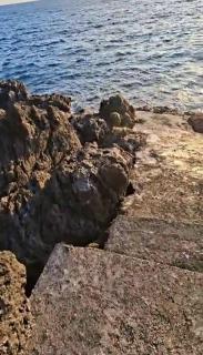Le Vacoa Bord de Mer - 9