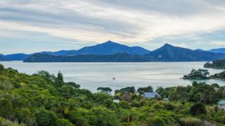 Treetops & Tide Cottage - Moetapu Holiday Home - 0