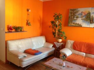 Nueva Fiesta Apartment - Mariánské Lázně - 8