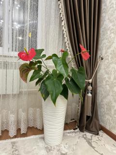 DiAr Guesthouse - Naryn - 4