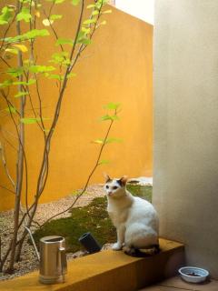 Potato Alley - 3