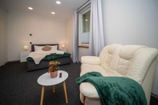 Pet-Friendly central apartment with Free Parking - 7