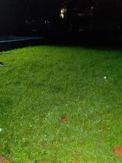 Tilottama homestay - 9