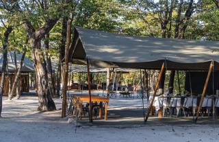 Hideaways Camelthorn Bush Camp, Greater Moremi - 3