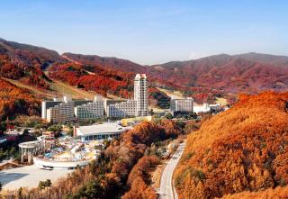 Phoenix Resort Pyeongchang - 0