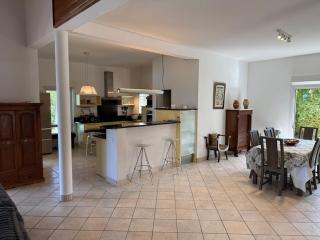 Villa Aloé Véra avec piscine proche plage La Saline - 1