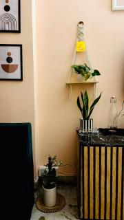 Premium 3Bhk Separate Flat - 4