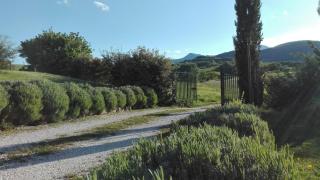 Hillside Villa with Swimming Pool and Jacuzzi of the Marche - 1