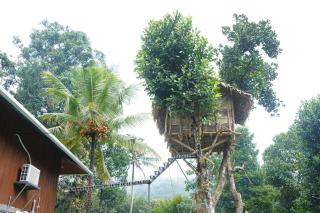 Nature Nest Holiday Home - 1