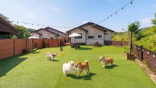 Taean Holy Dog Pool Villa - 9