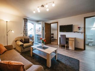 Appartements Hirsch - 2