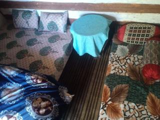 Goonj homestay - 9