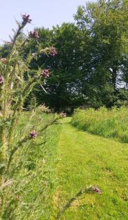 Countryside Bell Tents 2 units - 3