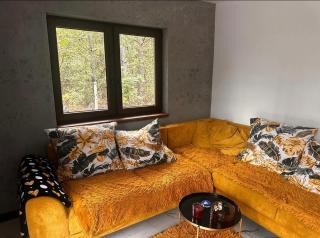 Czekanka Forest House - 4