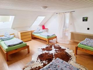 Cozy Apartment near Frankfurt - 9