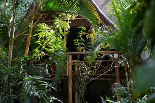 Kibale Forest Camp by NATURE LODGES LTD - 9