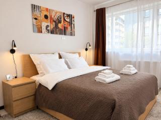 Bright & Quiet Mountain Brasov - private parking - 9