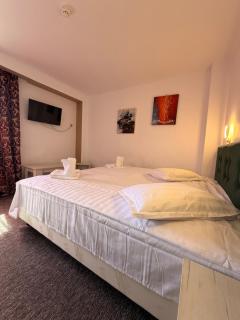 Rudo Forest View Hotel - 9