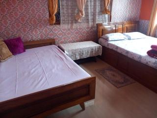 Seyon Homestay - 1