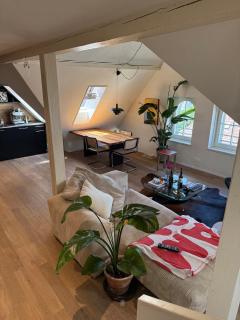 Designer duplex in heart of Bern with a view - 0