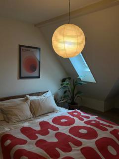 Designer duplex in heart of Bern with a view - 1