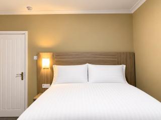 De Regency Style Hotel - 3